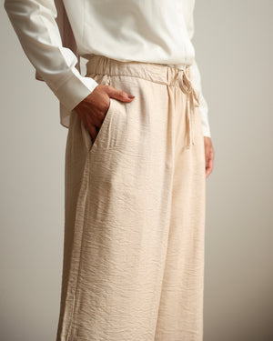 Linen Blend Pants Beige C11063